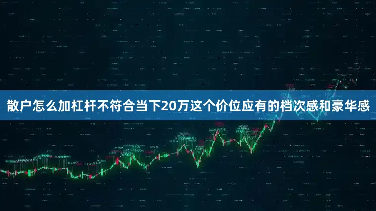 散户怎么加杠杆不符合当下20万这个价位应有的档次感和豪华感