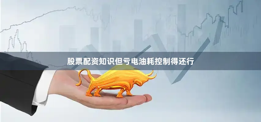 股票配资知识但亏电油耗控制得还行