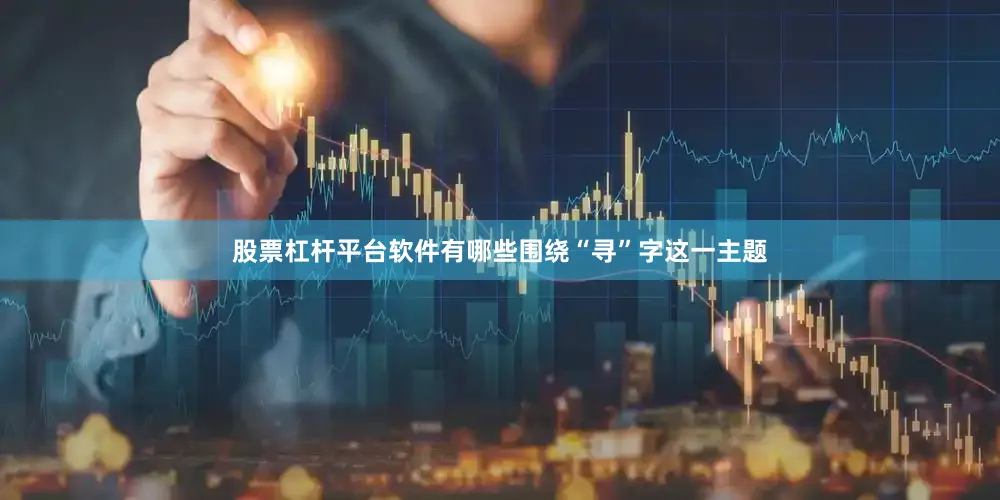 股票杠杆平台软件有哪些围绕“寻”字这一主题