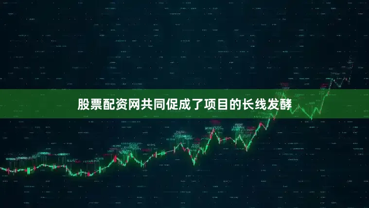 股票配资网共同促成了项目的长线发酵