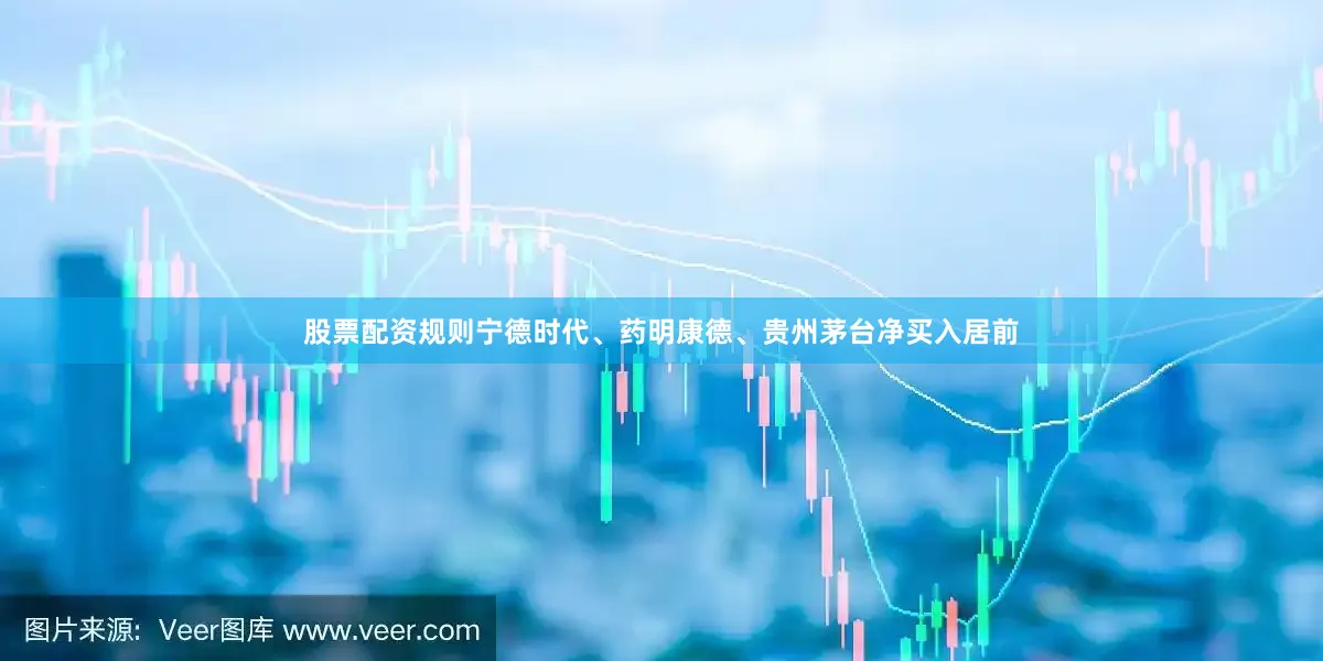 股票配资规则宁德时代、药明康德、贵州茅台净买入居前